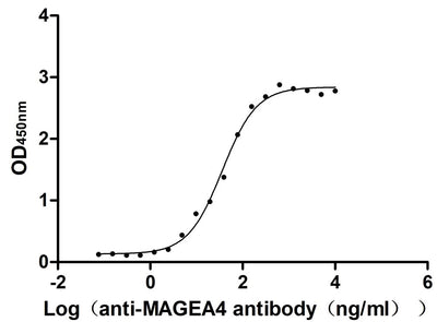 Activity Measured by its binding ability in a functional ELISA. Immobilized Human MAGEA4 at 2 μg/ml can bind anti-MAGEA4 recombinant antibody, the EC 50 is 30.33-43.10 ng/mL. Biological Activity AssayRecombinant Human Melanoma-Associated Antigen 4 (MAGEA4) Protein (His), Active