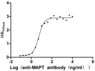 Activity Measured by its binding ability in a functional ELISA. Immobilized Human MAPT at 2 μg/ml can bind Anti-MAPT recombinant antibody , the EC 50 is 4.547-6.284 ng/mL. Biological Activity AssayRecombinant Human Microtubule-Associated Protein Tau (MAPT) Protein (His), Active