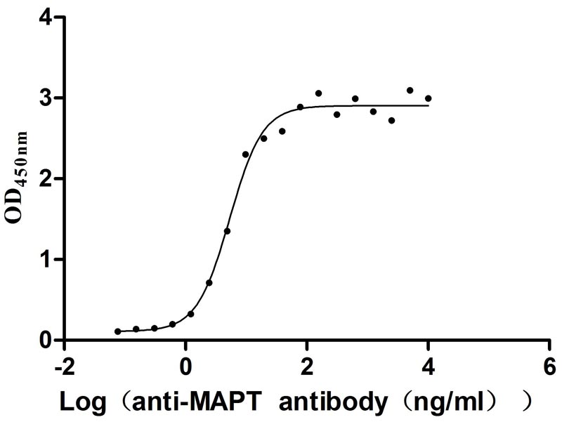 Activity Measured by its binding ability in a functional ELISA. Immobilized Human MAPT at 2 μg/ml can bind Anti-MAPT recombinant antibody , the EC 50 is 4.547-6.284 ng/mL. Biological Activity AssayRecombinant Human Microtubule-Associated Protein Tau (MAPT) Protein (His), Active