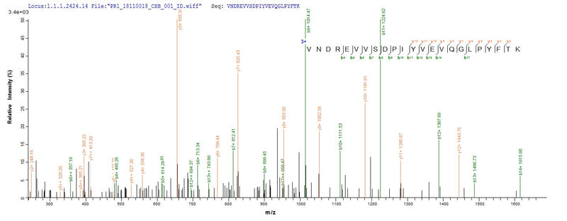 Based on the SEQUEST from database of Mammalian Cell host and target protein, the LC-MS/MS Analysis result of this product could indicate that this peptide derived from Mammalian Cell-expressed Rattus norvegicus (Rat) Mertk.Recombinant Rat Tyrosine-Protein Kinase Mer (MERTK) Protein (His)