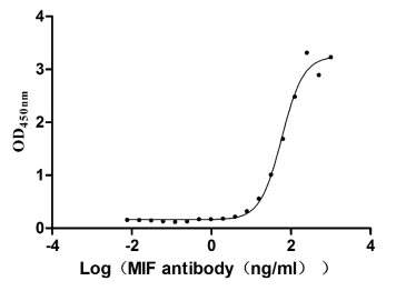 Activity Measured by its binding ability in a functional ELISA. Immobilized MIF at 2 μg/ml can bind Anti- MIF Rabbit Monoclonal Antibody, the EC 50 is 49.61-69.45 ng/ml. Biological Activity AssayRecombinant Human Macrophage Migration Inhibitory Factor (MIF) Protein (hFc), Active