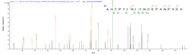 Based on the SEQUEST from database of Mammalian Cell host and target protein, the LC-MS/MS Analysis result of this product could indicate that this peptide derived from Mammalian Cell-expressed Homo sapiens (Human) CD20.