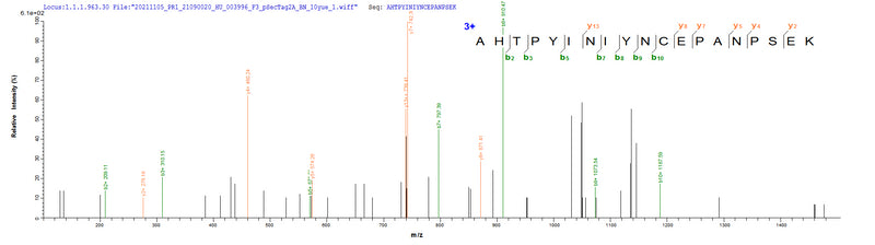 Based on the SEQUEST from database of Mammalian Cell host and target protein, the LC-MS/MS Analysis result of this product could indicate that this peptide derived from Mammalian Cell-expressed Homo sapiens (Human) CD20.