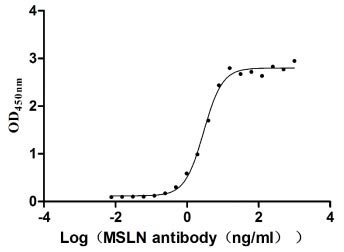 Activity Measured by its binding ability in a functional ELISA. Immobilized MSLN at 2 μg/ml can bind Anti-MSLN rabbit monoclonal antibody, the EC 50 of the MSLN protein is 2.657-3.177 ng/ml. Biological Activity AssayRecombinant Human Mesothelin (MSLN) Protein (hFc), Active