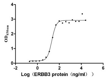 Activity Measured by its binding ability in a functional ELISA. Immobilized NRG1 at 2 μg/ml can bind human ERBB3, the EC 50 is 18.24-23.66 ng/ml. Biological Activity AssayRecombinant Human Pro-Neuregulin-1, Membrane-Bound Isoform (NRG1) Protein (His), Active