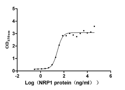 Activity Measured by its binding ability in a functional ELISA. Immobilized human VEGF165 ) at 2 μg/ml can bind human NRP1, the EC 50 is 22.68-34.55 ng/ml. Biological Activity AssayRecombinant Human Neuropilin-1 (NRP1) Protein (hFc), Active