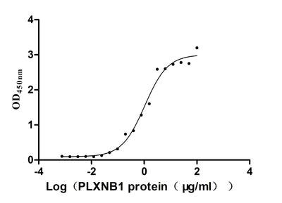 Activity Measured by its binding ability in a functional ELISA. Immobilized human SEMA4D at 5 μg/ml can bind human PLXNB1, the EC 50 is 0.8179-1.357 μg/ml. Biological Activity AssayRecombinant Human Plexin-B1 (PLXNB1) Protein (mFc), Active