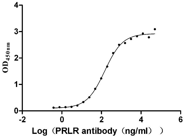 Activity Measured by its binding ability in a functional ELISA. Immobilized Human PRLR at 2 μg/ml can bind Anti-PRLR recombinant antibody , the EC 50 is 126.8-171.9 ng/mL. Biological Activity AssayRecombinant Human Prolactin Receptor (PRLR) Protein (His), Active