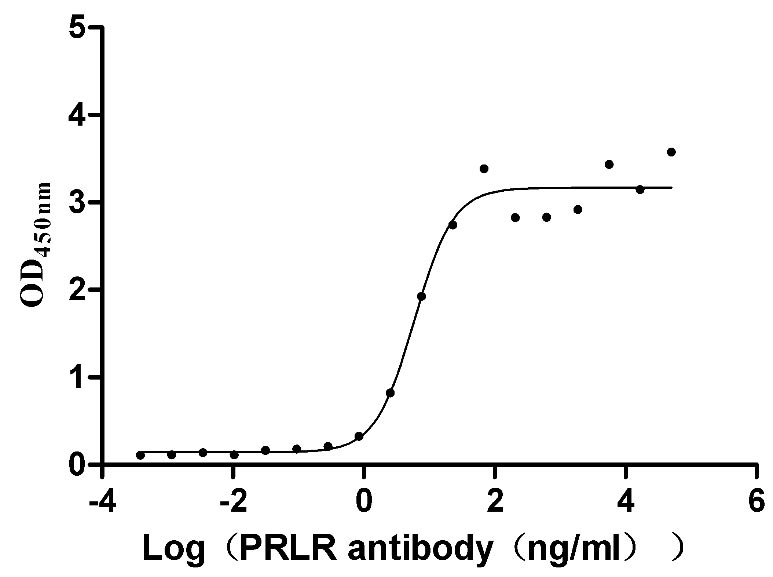 Activity Measured by its binding ability in a functional ELISA. Immobilized Mouse Prlr at 5 μg/ml can bind Anti-PRLR recombinant antibody , the EC 50 is 4.021-8.706 ng/mL.Recombinant Mouse Prolactin Receptor (PRLR) Protein (His), Active