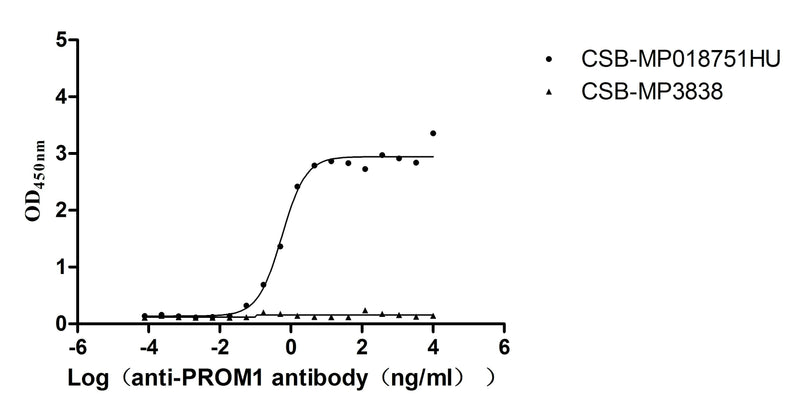 Activity Measured by its binding ability in a functional ELISA. Immobilized PROM1 at 5 μg/mL can bind Anti-PROM1 recombinant antibody , the EC 50 is 0.4322-0.7189 ng/mL.