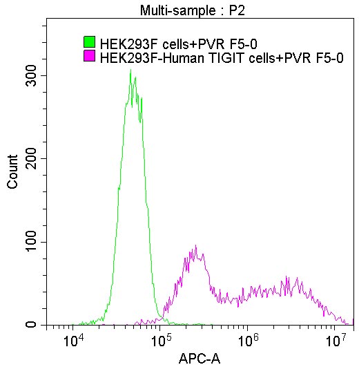 Activity FACS assay shows that Human PVR can bind to HEK293F cell overexpressing human TIGIT.