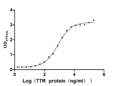 Activity Measured by its binding ability in a functional ELISA. Immobilized RBP4 at 5 μg/ml can bind TTR , the EC 50 is 695.0-970.1 ng/ml. Biological Activity AssayRecombinant Human Retinol-Binding Protein 4 (RBP4) Protein (hFc), Active