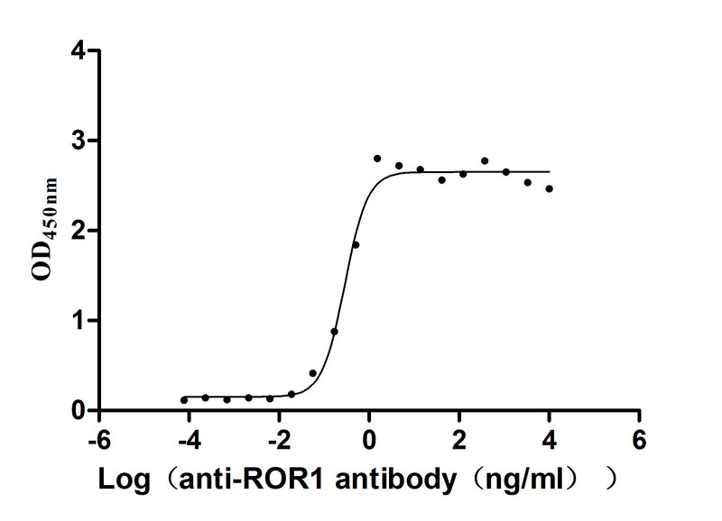 Activity Measured by its binding ability in a functional ELISA. Immobilized ROR1 at 2 μg/ml can bind anti-ROR1 antibody, the EC 50 is 0.2450-0.3416 ng/mL. Biological Activity Assay
