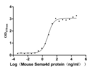 Activity Measured by its binding ability in a functional ELISA. Immobilized Pepinemab at 2 μg/ml can bind Mouse Sema4d, the EC 50 is 4.878-7.446 ng/ml. Biological Activity AssayRecombinant Mouse Semaphorin-4D (SEMA4D) Protein (mFc), Active