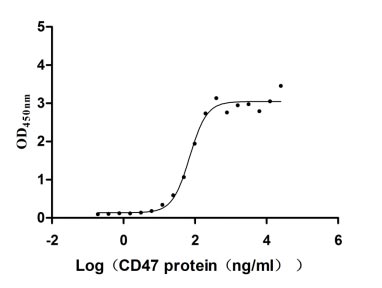 Activity Measured by its binding ability in a functional ELISA. Immobilized SIRPA at 2 μg/ml can bind human CD47, the EC 50 of human SIRPA protein is 58.30-85.04 ng/ml. Biological Activity Assay