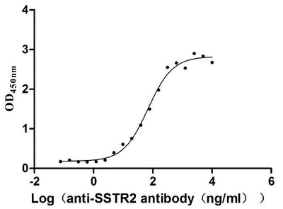 Activity Measured by its binding ability in a functional ELISA. Immobilized Human SSTR2 at 10 μg/ml can bind Anti-SSTR2 recombinant antibody , the EC 50 is 58.13-81.28 ng/mL. Biological Activity Assay
