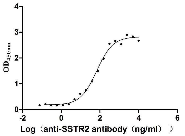 Activity Measured by its binding ability in a functional ELISA. Immobilized Human SSTR2 at 10 μg/ml can bind Anti-SSTR2 recombinant antibody , the EC 50 is 58.13-81.28 ng/mL. Biological Activity Assay