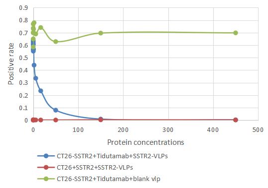 Blocking experiment on Anti-SSTR2 antibody between Human SSTR2-VLPs protein and CT26/Human SSTR2 Stable Cells by Flow cytometry. Biological Activity Assay