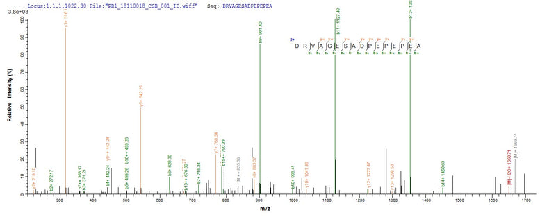 Based on the SEQUEST from database of Mammalian Cell host and target protein, the LC-MS/MS Analysis result of this product could indicate that this peptide derived from Mammalian Cell-expressed Rattus norvegicus (Rat) Tgfb1.Recombinant Rat Transforming Growth Factor Beta-1 Proprotein (TGFB1) Protein (His)