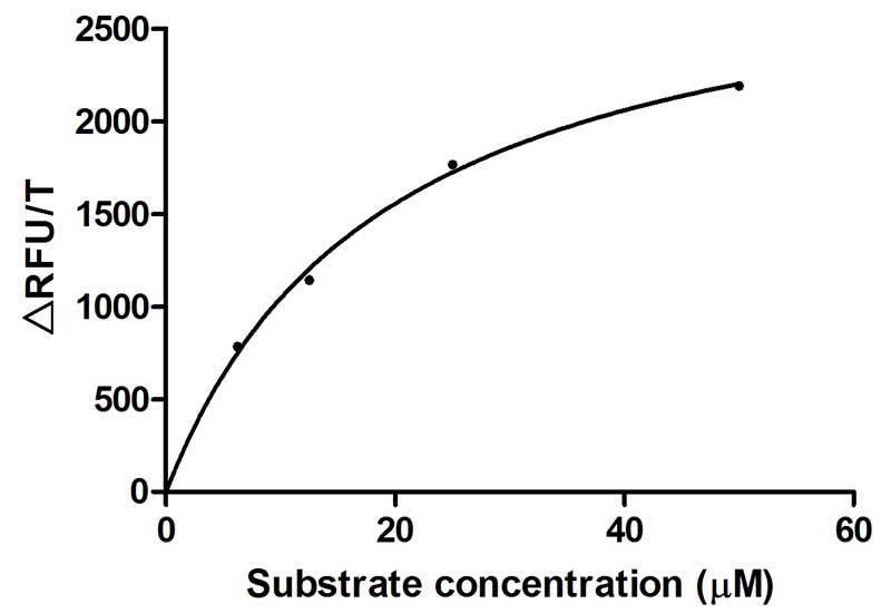 Activity Recombinant Human TMPRSS2 His tag protein b0) enzyme activity is measured by its ability to cleave fluorogenic peptide substrate(Boc-Gln-Ala-Arg-AMC), The Km is 19.16μM. Biological Activity AssayRecombinant Human Transmembrane Protease Serine 2 (TMPRSS2) Protein (His), Active