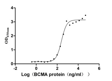 Measured by its binding ability in a functional ELISA. Immobilized TNFSF13B at 10 μg/ml can bind human BCMA, the EC 50 of human BCMA protein is 221.3-298.6 ng/ml. Biological Activity Assay