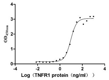 Activity Measured by its binding ability in a functional ELISA. Immobilized TNF-α at 5 μg/ml can bind human TNFR1, the EC 50 is 7.799-10.90 ng/ml. Biological Activity AssayRecombinant Human Tumor Necrosis Factor Receptor Superfamily Member 1A (TNFRSF1A) Protein (hFc), Active