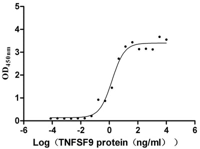 Activity Measured by its binding ability in a functional ELISA. Immobilized TNFRSF9 at 2 μg/ml can bind TNFSF9, the EC 50 is 1.011-2.429 ng/mL. Biological Activity AssayRecombinant Human Tumor Necrosis Factor Receptor Superfamily Member 9 (TNFRSF9) Protein (His), Active