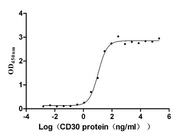 Activity Measured by its binding ability in a functional ELISA. Immobilized CD30 at 5 μg/ml can bind human CD30L, the EC 50 is 9.531-12.49 ng/ml. Biological Activity AssayRecombinant Human Tumor Necrosis Factor Ligand Superfamily Member 8 (TNFSF8) Protein (His), Active