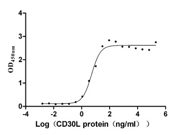 Activity Measured by its binding ability in a functional ELISA. Immobilized CD30 at 5 μg/ml can bind human CD30L, the EC 50 is 4.169-6.360 ng/ml. Biological Activity AssayRecombinant Human Tumor Necrosis Factor Ligand Superfamily Member 8 (TNFSF8) Protein (hFc), Active