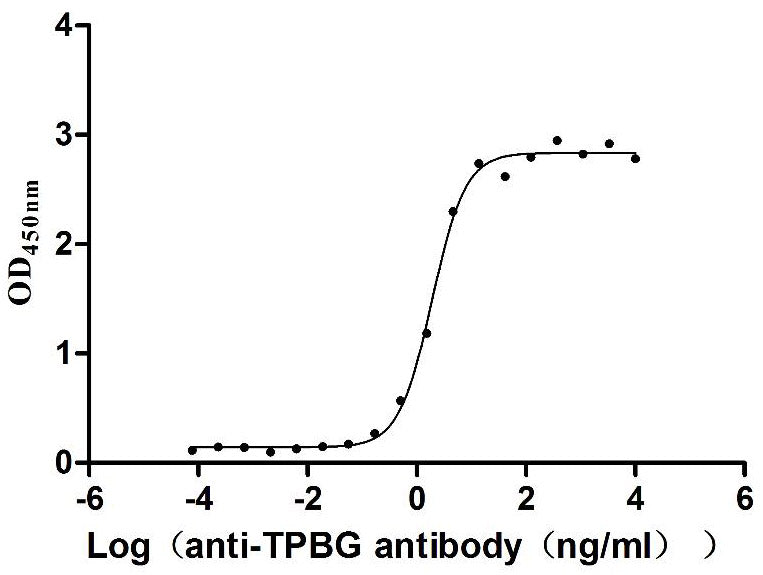 Activity Measured by its binding ability in a functional ELISA. Immobilized Macaca fascicularis TPBG at 2 μg/mL can bind Anti-TPBG recombinant antibody , the EC 50 is 1.672-2.181 ng/mL.Recombinant Cynomolgus Monkey Trophoblast Glycoprotein (TPBG) Protein (His&Myc), Active