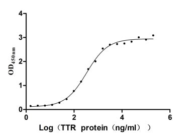 Activity Measured by its binding ability in a functional ELISA. Immobilized RBP4 at 5 μg/ml can bind human TTR, the EC 50 of human TTR protein is 284.7-391.7 ng/ml. Biological Activity AssayRecombinant Human Transthyretin (TTR) Protein (Fc-Myc), Active