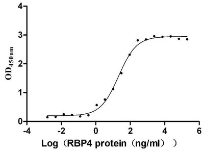 Activity Measured by its binding ability in a functional ELISA. Immobilized Mouse Ttr at 5 μg/ml can bind Mouse Rbp4 , the EC 50 is 17.06-26.23 ng/mL. Biological Activity AssayRecombinant Mouse Transthyretin (TTR) Protein (His), Active