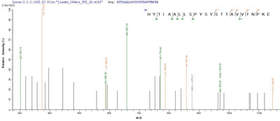 Based on the SEQUEST from database of Mammalian Cell host and target protein, the LC-MS/MS Analysis result of this product could indicate that this peptide derived from Mammalian Cell-expressed Macaca fascicularis (Crab-eating macaque) (Cynomolgus monkey) TTR.Recombinant Cynomolgus Monkey Transthyretin (TTR) Protein (His-Myc)