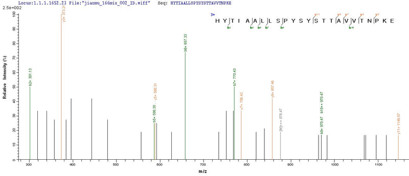 Based on the SEQUEST from database of Mammalian Cell host and target protein, the LC-MS/MS Analysis result of this product could indicate that this peptide derived from Mammalian Cell-expressed Macaca fascicularis (Crab-eating macaque) (Cynomolgus monkey) TTR.Recombinant Cynomolgus Monkey Transthyretin (TTR) Protein (His-Myc)
