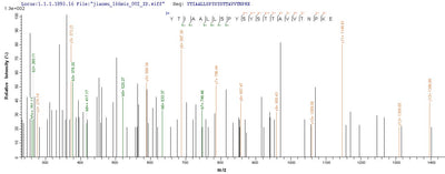 Based on the SEQUEST from database of Mammalian Cell host and target protein, the LC-MS/MS Analysis result of this product could indicate that this peptide derived from Mammalian Cell-expressed Macaca fascicularis (Crab-eating macaque) (Cynomolgus monkey) TTR.Recombinant Cynomolgus Monkey Transthyretin (TTR) Protein (His-Myc)