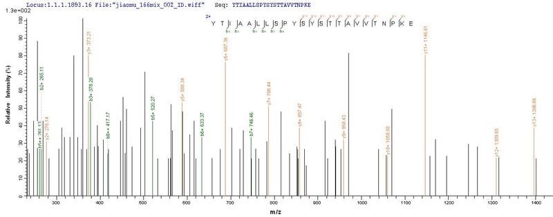 Based on the SEQUEST from database of Mammalian Cell host and target protein, the LC-MS/MS Analysis result of this product could indicate that this peptide derived from Mammalian Cell-expressed Macaca fascicularis (Crab-eating macaque) (Cynomolgus monkey) TTR.Recombinant Cynomolgus Monkey Transthyretin (TTR) Protein (His-Myc)