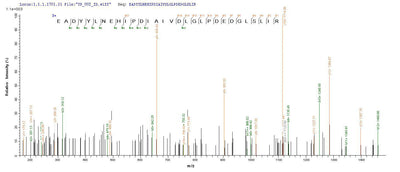 Based on the SEQUEST from database of Mammalian Cell host and target protein, the LC-MS/MS Analysis result of this product could indicate that this peptide derived from Mammalian Cell-expressed Escherichia coli (strain K12) phoP.
