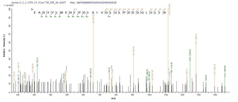 Based on the SEQUEST from database of Mammalian Cell host and target protein, the LC-MS/MS Analysis result of this product could indicate that this peptide derived from Mammalian Cell-expressed Escherichia coli (strain K12) phoP.