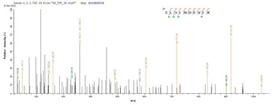 Based on the SEQUEST from database of Mammalian Cell host and target protein, the LC-MS/MS Analysis result of this product could indicate that this peptide derived from Mammalian Cell-expressed Escherichia coli (strain K12) phoP.