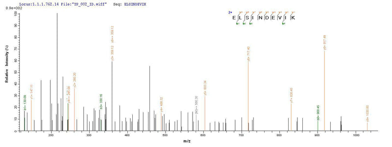 Based on the SEQUEST from database of Mammalian Cell host and target protein, the LC-MS/MS Analysis result of this product could indicate that this peptide derived from Mammalian Cell-expressed Escherichia coli (strain K12) phoP.