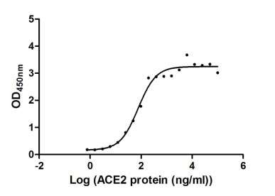 Activity Measured by its binding ability in a functional ELISA. Immobilized SARS-CoV-2-S at 2 μg/ml can bind human ACE2 , the EC 50 of SARS-CoV-2-S protein is 56.64 - 103.6 ng/ml.Recombinant Sars-Cov-2 Spike Glycoprotein (S) Protein (His&Flag), Active