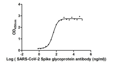 Activity Measured by its binding ability in a functional ELISA. Immobilized SARS-CoV-2-S at 2 μg/ml can bind SARS-CoV-2-S Antibody , the EC 50 of SARS-CoV-2-S protein is 36.79-48.87 ng/ml Biological Activity AssayRecombinant Sars-Cov-2 Spike Glycoprotein (S) Protein (His&Flag), Active