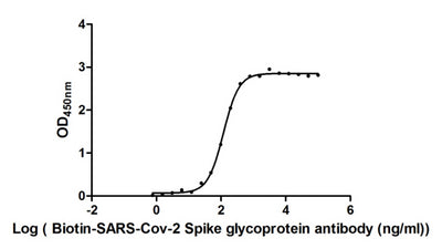 Measured by its binding ability in a functional ELISA. Immobilized SARS-CoV-2-S1-RBD at 2 μg/ml can bind Biotinylated Anti-SARS-CoV-2-S Antibody , the EC 50 of SARS-CoV-2-S1-RBD protein is 106.2-131.2 ng/ml. Biological Activity AssayRecombinant Sars-Cov-2 Spike Glycoprotein (S) Protein (His-mFc), Active