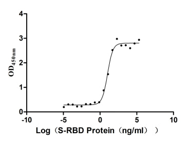 Measured by its binding ability in a functional ELISA. Immobilized human ACE2 at 2 μg/ml can bind SARS-CoV-2-S1-RBD, the EC 50 of SARS-CoV-2-S1-RBD protein is 8.363-12.82 ng/ml. Biological Activity AssayRecombinant Sars-Cov-2 Spike Glycoprotein (S) Protein (His-mFc), Active