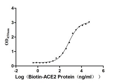 Activity Measured by its binding ability in a functional ELISA. Immobilized SARS-CoV-2-S1-RBD(W436R) at 2 μg/ml can bind Biotinylated human ACE2 , the EC 50 is 625.3-783.2 ng/ml. Biological Activity AssayRecombinant Sars-Cov-2 Spike Glycoprotein (S) Protein (His), Active