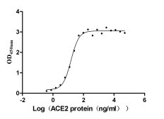 Activity Measured by its binding ability in a functional ELISA. Immobilized SARS-CoV-2-S1-RBD (N501Y) at 2 μg/ml can bind human ACE2 , the EC 50 is 12.95-17.87 ng/ml. Biological Activity AssayRecombinant Sars-Cov-2 Spike Glycoprotein (S) Protein (His), Active
