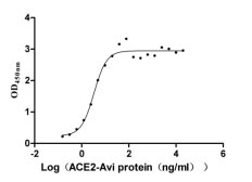 Activity Measured by its binding ability in a functional ELISA. Immobilized SARS-CoV-2-S1-RBD (N501Y) at 2 μg/ml can bind human ACE2 , the EC 50 is 2.492-4.401 ng/ml. Biological Activity AssayRecombinant Sars-Cov-2 Spike Glycoprotein (S) Protein (His-mFc), Active