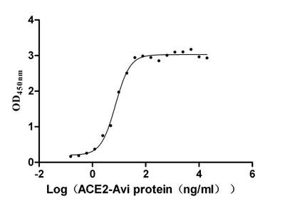 Activity Measured by its binding ability in a functional ELISA. Immobilized SARS-CoV-2-S1-RBD (E484K) at 2 μg/ml can bind human ACE2 , the EC 50 is 6.597-8.187 ng/ml. Biological Activity AssayRecombinant Sars-Cov-2 Spike Glycoprotein (S) Protein (mFc), Active