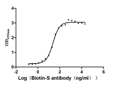Activity Measured by its binding ability in a functional ELISA. Immobilized SARS-CoV-2-S1-RBD (E484K) at 2 μg/ml can bind Biotin-S Antibody , the EC 50 is 21.54-26.77 ng/ml. Biological Activity AssayRecombinant Sars-Cov-2 Spike Glycoprotein (S) Protein (mFc), Active