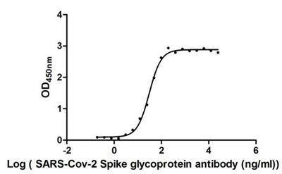 Activity Measured by its binding ability in a functional ELISA. Immobilized SARS-CoV-2-S1-RBD at 2 μg/ml can bind SARS-CoV-2-S Antibody , the EC 50 of SARS-CoV-2-S1-RBD protein is 27.96 - 33.35 ng/ml. Biological Activity AssayRecombinant Sars-Cov-2 Spike Glycoprotein (S) Protein (His&Myc), Active